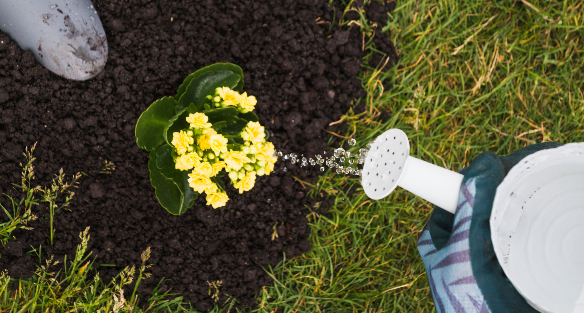 precisionlawncarecoweta