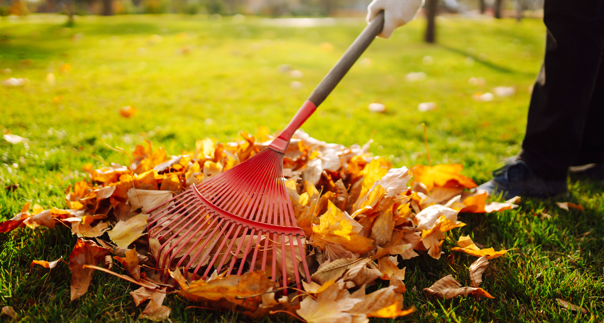 precisionlawncarecoweta