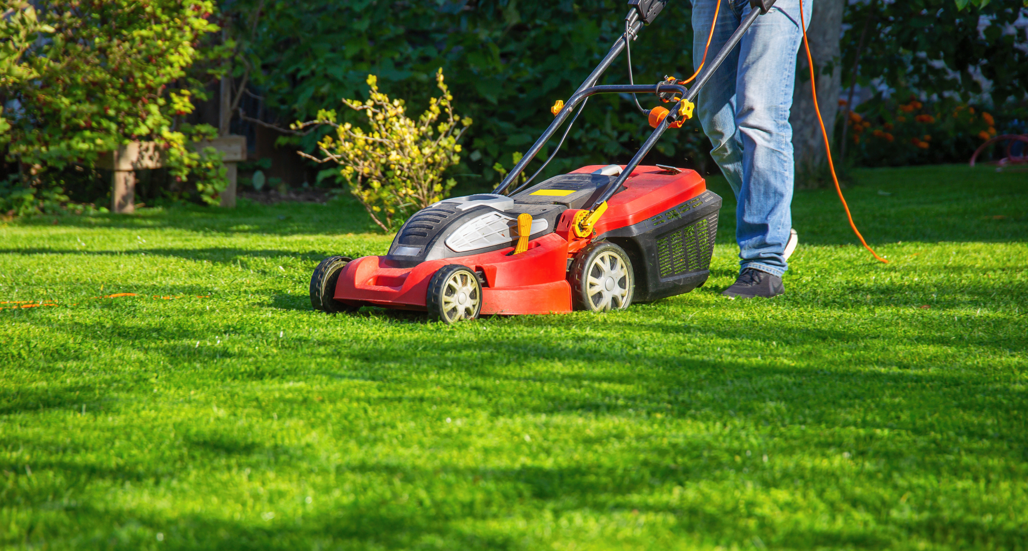 precisionlawncarecoweta