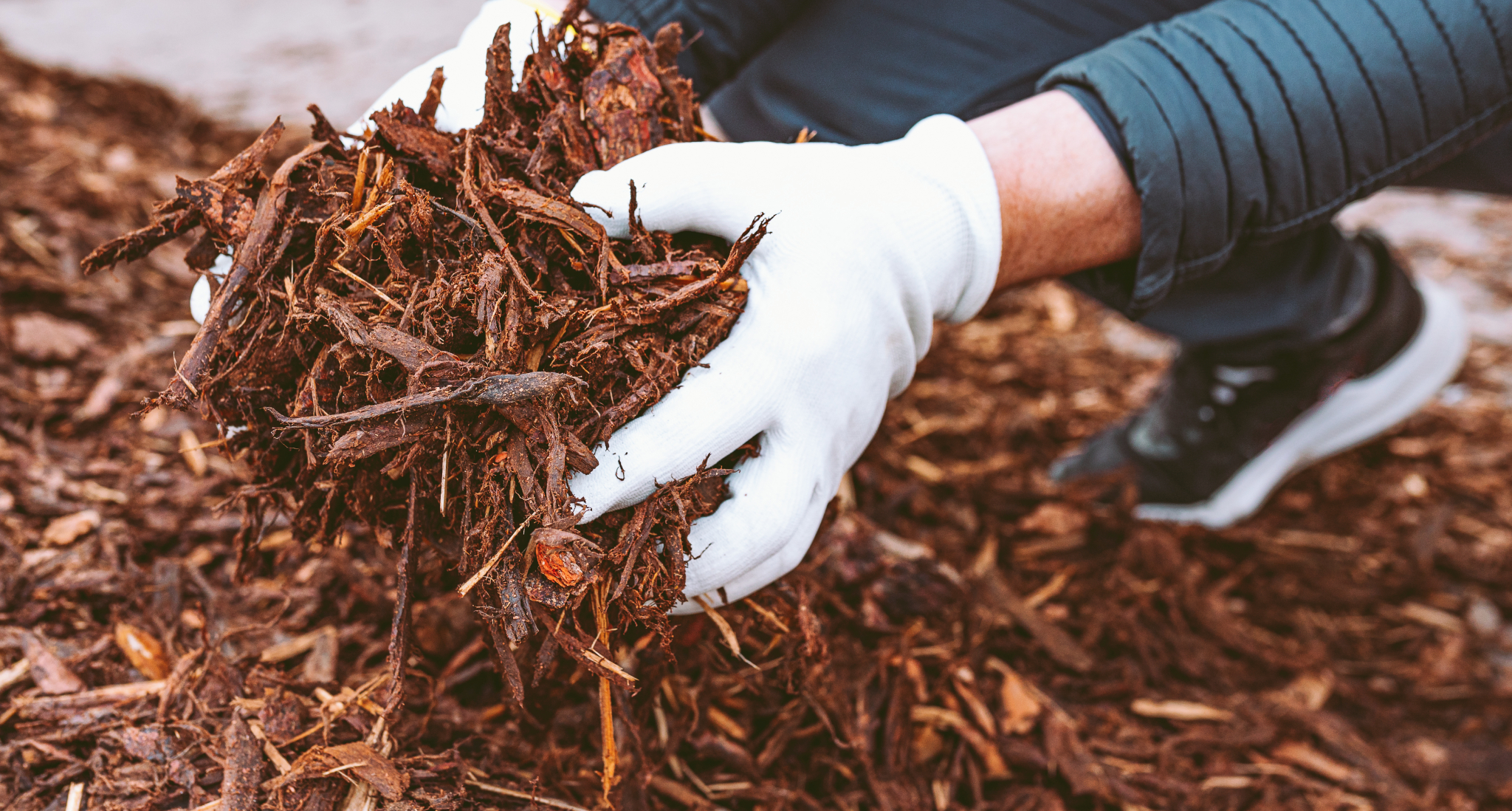  precisionlawncarecoweta